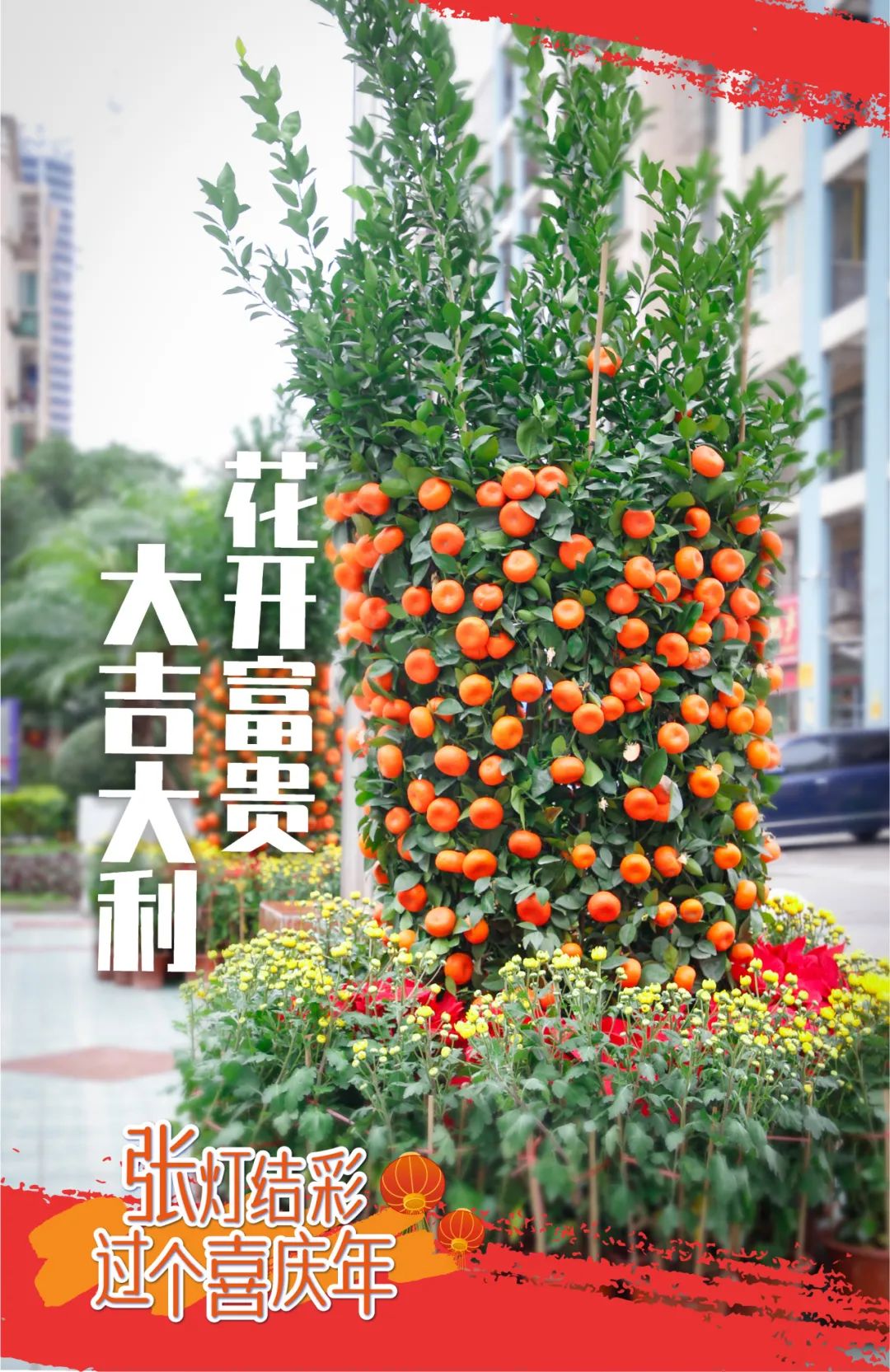 1708398354407860.jpg 12.jpg